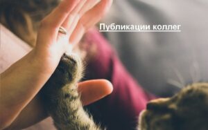 Румыния — не Германия: Берлин отказал Бухаресту в аншлюсе Молдавии